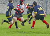 HD-373---rugby